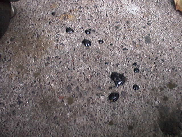 Fullsize Image